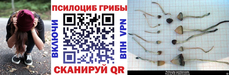Псилоцибиновые грибы ЛСД  Бородино 